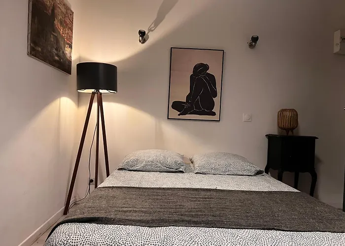 3- Le Figuier Mauve Apartment Poitiers