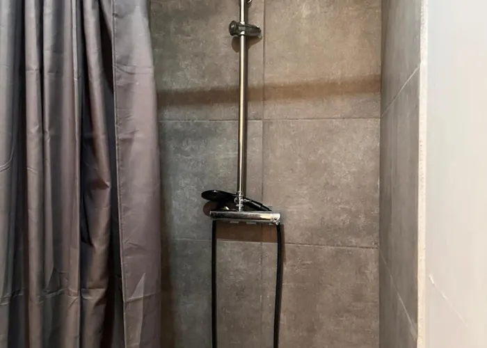 3- Le Figuier Mauve Apartment Poitiers
